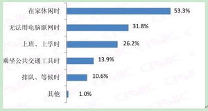 中國互聯網絡信息中心（CNNIC）的互聯網數據服務概述